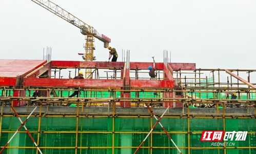 湖南新田重点学位工程建设勘察工作全面展开